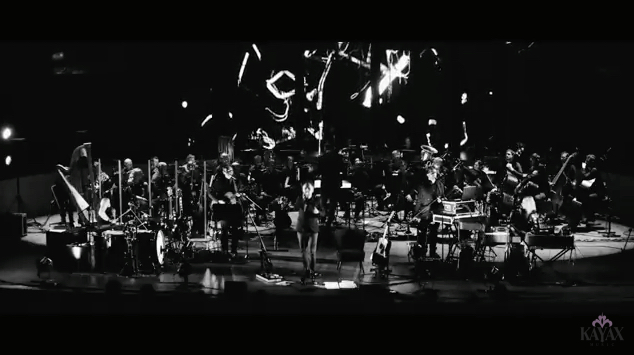 koncert Artur Rojek z NOSPR.jpg