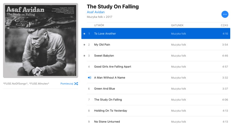 Asaf Avidan: The study on falling.jpg