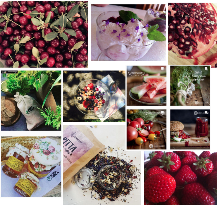 eko żywność: inspiracje 2018: rano zebrano: pora na pola.jpg