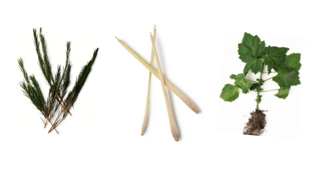 Zrzut ekranu 2018-01-18 o 11.44.35.jpg