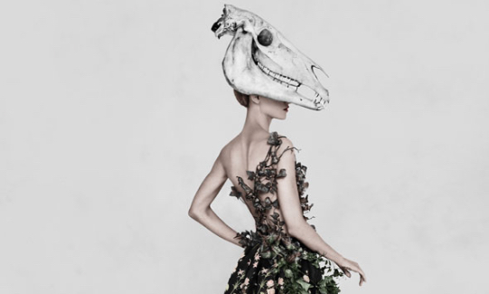 VA: Fashioned from nature: wystawy wiosna 2018.jpg