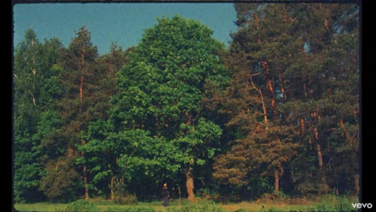 Kadr z teledysku Małomiasteczkowy: Dawid Podsiadło.jpg