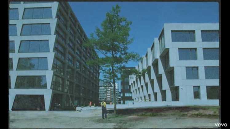 Małomiasteczkowy: Dawid Podsiadło: drzewo: kadr z teledysku.jpg